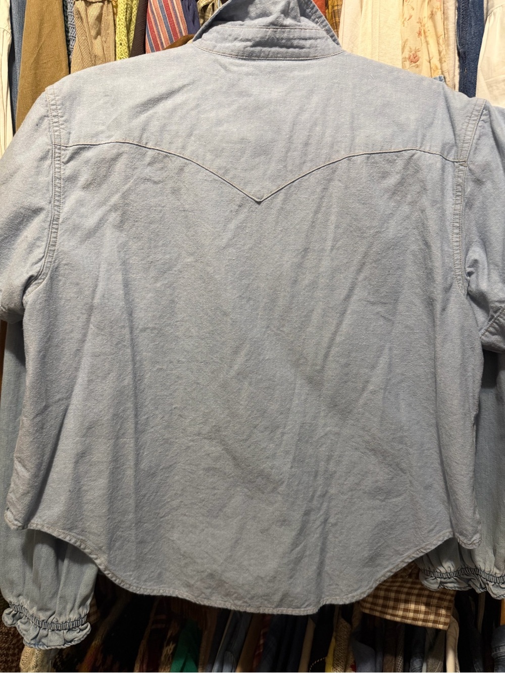 Hey Gang The S/S Western Shirt Chambray - Picture 7 of 9